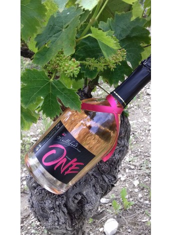 VIN ROSE DOMAINE MAILLEFAUD...